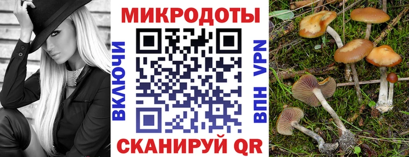 Псилоцибиновые грибы Psilocybe  omg как войти  Красавино  купить закладку 